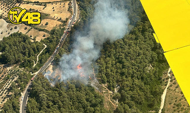 MİLAS&#039;A BAĞLI ÖREN MAHALLESİ&#039;NDE YANGIN!