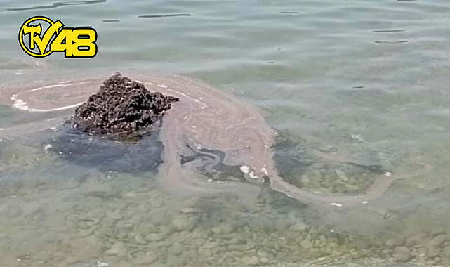 MUĞLA&#039;NIN GÖKOVA KÖRFEZİ&#039;NDEKİ AKBÜK KOYU&#039;NDA, TEKNEDEN SİNTİNE ATIĞI BIRAKILDIĞI İDDİASI BÜYÜK TEPKİ ÇEKTİ