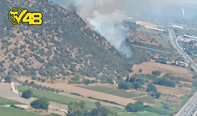 MUĞLA&#039;NIN MİLAS VE ORTACA İLÇELERİNDE YANGIN ÇIKTI: HAVADAN VE KARADAN MÜDAHALE DEVAM EDİYOR