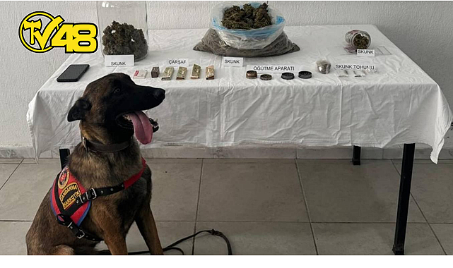 MUĞLA VALİLİĞİ&#039;NDEN UYUŞTURUCU OPERASYONU AÇIKLAMASI: ŞÜPHELİ TUTUKLANDI