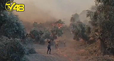 AYDIN GERMENCİK YANGININA HAVA VE KARA MÜCADELESİ SÜRÜYOR