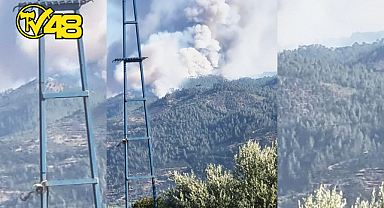 AYDIN'IN BOZDOĞAN İLÇESİNE BAĞLI ALHİSAR MAHALLESİ YAKINLARINDA YANGIN