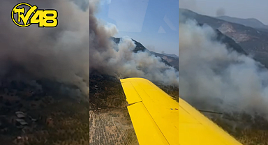 AYDIN'IN GERMENCİK İLÇESİNDE ORMAN YANGINI!