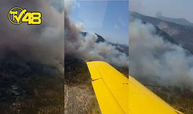 AYDIN&#039;IN GERMENCİK İLÇESİNDE ORMAN YANGINI!