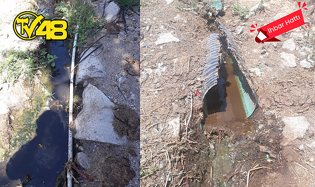 BİR VATANDAŞ MİLAS&#039;TA BAHÇESİNE AKAN PİSLİKLER İÇİN TV48 İHBAR HATTINDAN YETKİLİLERE ÇAĞRIDA BULUNDU