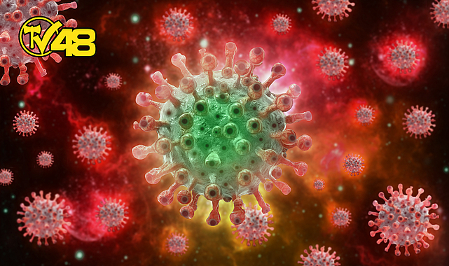 MAYMUN ÇİÇEĞİNDE BAĞIŞIKLIK SİSTEMİ UYARISI