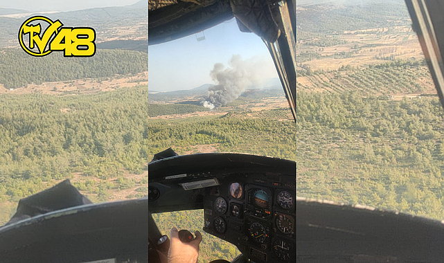 MİLAS İLÇESİ BEÇİN ÇAMOVASI YAKINLARINDA ORMAN YANGINI