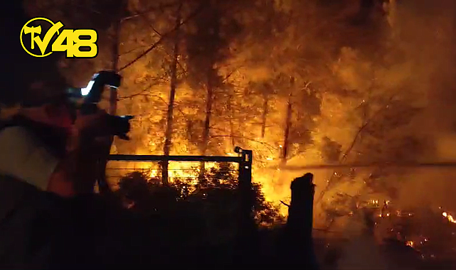 MİLAS SEKKÖY YANGINI KONTROL ALTINA ALINDI