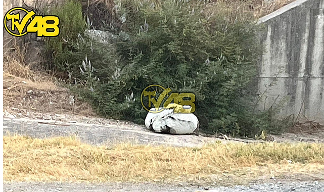 MİLAS&#039;TA ŞÜPHELİ ÇUVAL PANİĞİ