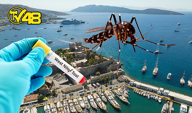 MUĞLA İL SAĞLIK MÜDÜRLÜĞÜ AÇIKLADI: BODRUM&#039;DA ALARM VERİLDİ! BODRUMA GELEN BİR TURİSTTE BATI NİL VİRÜSÜ ORTAYA ÇIKTI