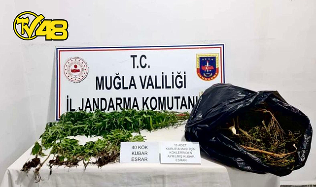 SEYDİKEMER&#039;DE UYUŞTURUCU OPERASYONU: KENEVİR VE KUBAR ESRAR ELE GEÇİRİLDİ