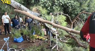 AKYAKA'DA KUVVETLİ RÜZGAR ÇAM AĞACINI DEVRİLMESİNE NEDEN OLDU: 3 KİŞİ YARALANDI