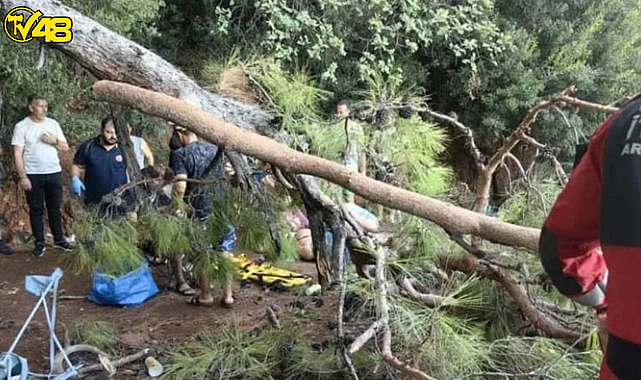 AKYAKA&#039;DA KUVVETLİ RÜZGAR ÇAM AĞACINI DEVRİLMESİNE NEDEN OLDU: 3 KİŞİ YARALANDI