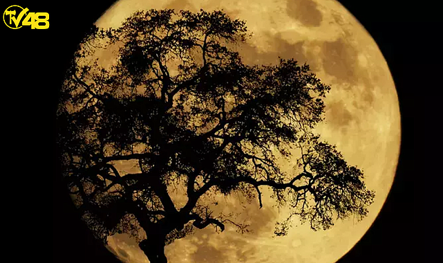 AY TUTULMASI BUGÜN MÜ (17 EYLÜL) PARÇALI AY TUTULMASI SAAT KAÇTA, NE ZAMAN? AY TUTULMASI TÜRKİYE&#039;DEN GÖRÜLECEK Mİ, NEREDEN İZLENECEK?