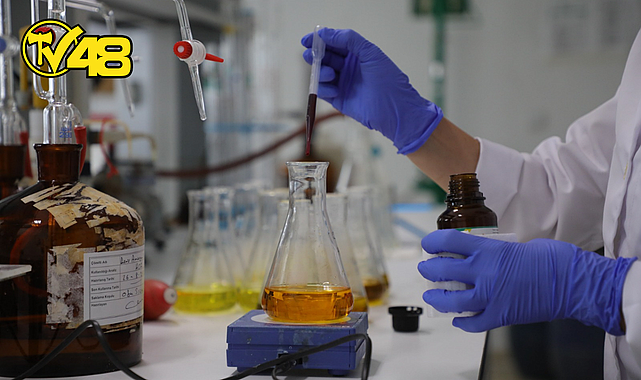 MUĞLA’NIN SUYU TEMİZ VE SAĞLIKLI