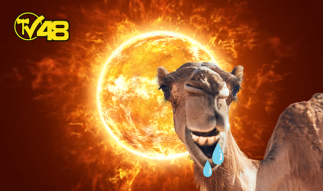 SICAKLAR GERİ DÖNÜYOR! METEOROLOJİ UYARDI