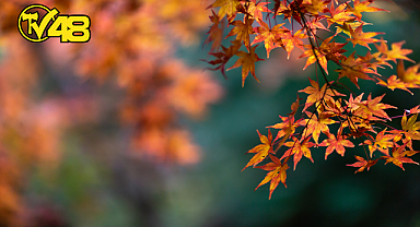 SONBAHARA MERHABA! BUGÜN 23 EYLÜL EKİNOKSU
