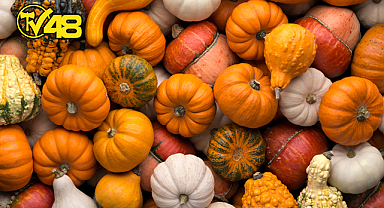 BALKABAĞI TÜKETMENİZ İÇİN 8 ÖNEMLİ NEDEN