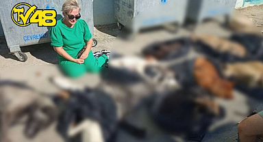 GEBZE'DE HAYVAN KATLİAMI! BELEDİYENİN BARINAĞINDA SKANDAL GÖRÜNTÜLER