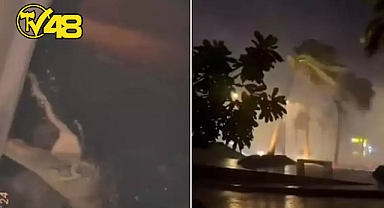 KASIRGASININ VURDUĞU FLORİDA'DA TİMSAHLAR EVLERE GİRDİ