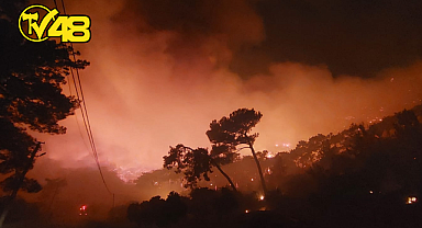 MUĞLA ORMAN YANGINLARI SON DURUM...