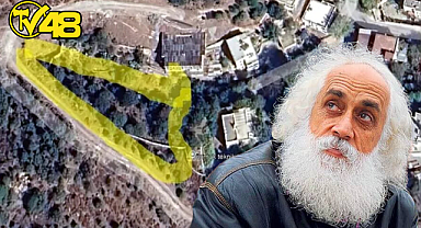 AKBELEN'DE AĞAÇ KESİMİNİ ELEŞTİREN ŞARKICI SUAVİ, BODRUM'DA AĞAÇ KATLİAMI YAPTI