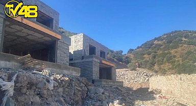 BAKANLIK, SUAVİ'NİN ARSASINDA KESİLEN AĞAÇLAR İLE İLGİLİ İNCELEME BAŞLATTI