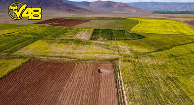 TARIM VE ORMAN BAKANLIĞI'NDAN ATIL DURUMDAKİ ARAZİLER İÇİN TOPLULAŞTIRMA HAMLESİ
