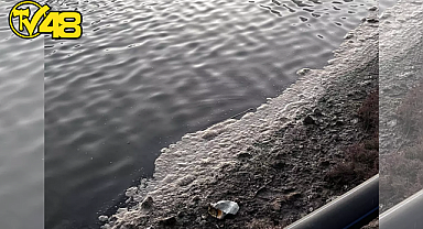 TUZLA SULAK ALANI'NDA KİRLİLİK ENDİŞESİ: BEYAZ KÖPÜK VE KOKU EKOSİSTEMİ TEHDİT EDİYOR