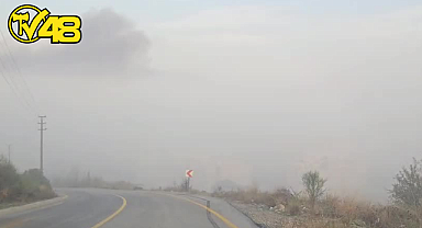 MİLAS-SELİMİYE YOLU SİS VE HAVA KİRLİLİĞİNDEN DOLAYI TEHLİKE OLUŞTURUYOR