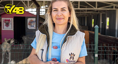 HAYVANSEVERLERİ DOLANDIRDILAR! 18 MİLYON LİRALIK BAĞIŞ KENDİ HESAPLARINA GEÇTİ