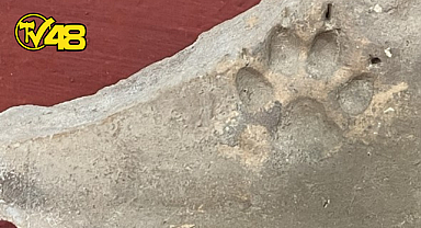 HERAKLEİA ANTİK KENTİ’NDE 2000 YILLIK PATİ İZLERİ KEŞFEDİLDİ!