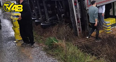 MİLAS’TA KONSERVE YÜKLÜ TIR DEVRİLDİ