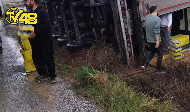 MİLAS’TA KONSERVE YÜKLÜ TIR DEVRİLDİ