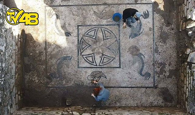 MİLAS&#039;TAKİ ROMA HAMAMINDA EŞSİZ MOZAİKLER ORTAYA ÇIKTI