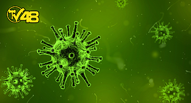 ULUSLARARASI SAĞLIK KURULUŞLARINDAN HPMV VİRÜSÜNE İLİŞKİN PEŞ PEŞE AÇIKLAMALAR