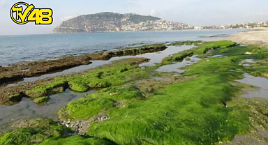 DENİZ SUYU 7-8 METRE ÇEKİLDİ, AKILLARA EGE'DEKİ DEPREM FIRTINASI GELDİ