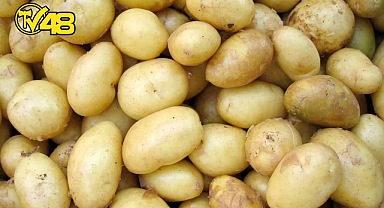 İHRAÇ EDİLEN PATATESLER GERİ İADE EDİLDİ