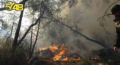 KONYAALTI'NDA ORMAN YANGINI ÇIKTI