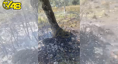 AKBÜK'TE BAŞLAYAN YANGIN BÜYÜMEDEN ÖNLENDİ