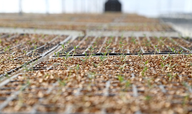 BELEDİYE TARIMSAL ÜRETİM ALANLARINI İYİLEŞTİRİYOR