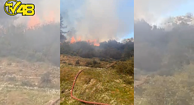 MENTEŞE KAFACA MAHALLESİ'NDE ÇALILIK YANGINI BÜYÜMEDEN SÖNDÜRÜLDÜ