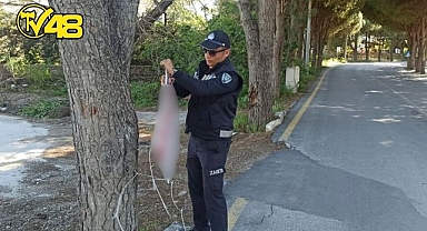 BELEDİYEDEN GÖRÜNTÜ KİRLİLİĞİNE MÜDAHALE