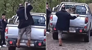 KAMYONET KASASINDAKİ KÖPEĞİ HALATLA DÖVDÜ