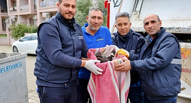 MARMARİS'TE ÇÖPE ATILAN YAVRU KEDİLERİ BELEDİYE İŞÇİLERİNİN DİKKATİ KURTARDI