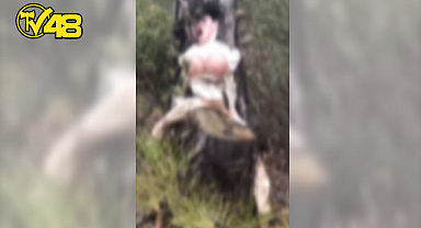 MUĞLA KAVAKLIDERE'DE ORMANDA ŞAŞIRTAN MANZARA: AĞACA ASILI CANSIZ MANKEN BULUNDU