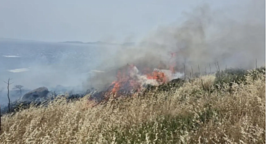 BODRUM'DA 5 HEKTARLIK ALAN KÜL OLDU