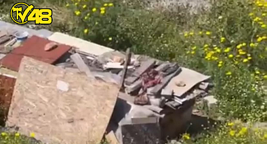 MİLAS'TA DOMUZLAR KÜMESLERİ BASTILAR, TAVUKLARI TELEF ETTİLER