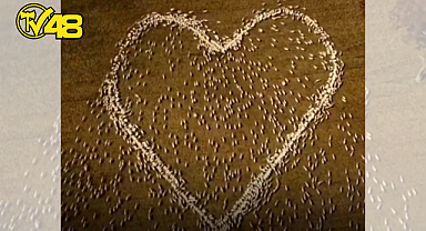 YAS TUTAN BİR ÇİFTÇİ TARLASINA DEV BİR KALP KOYDU