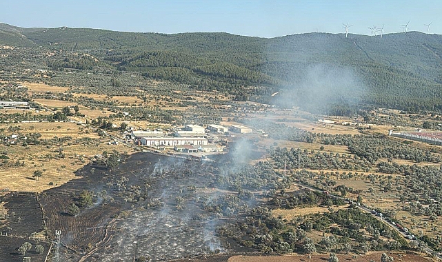 BODRUM MUMCULAR KARAOVA&#039;DA YANGIN: ŞİDDETLİ RÜZGARLA BÜYÜDÜ, MÜDAHALE SÜRÜYOR